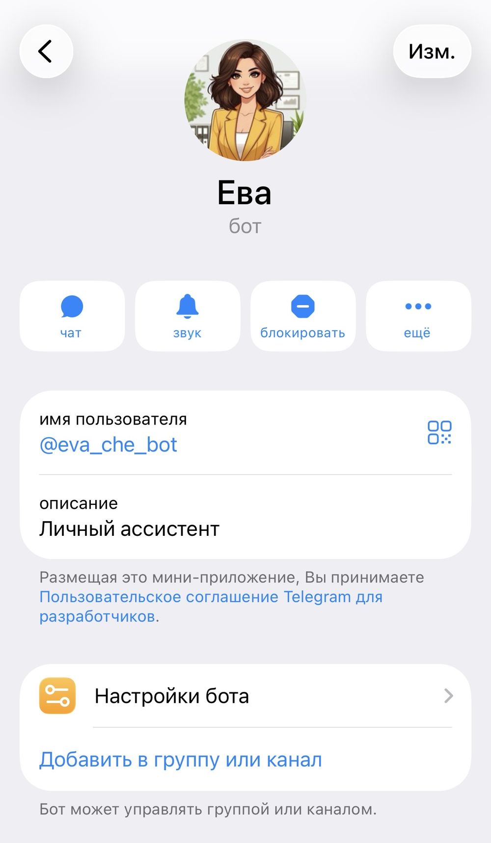 Профиль готового бота: имя, username, описание, настройки бота